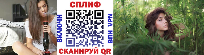 Канабис White Widow  купить наркотик  Скопин 